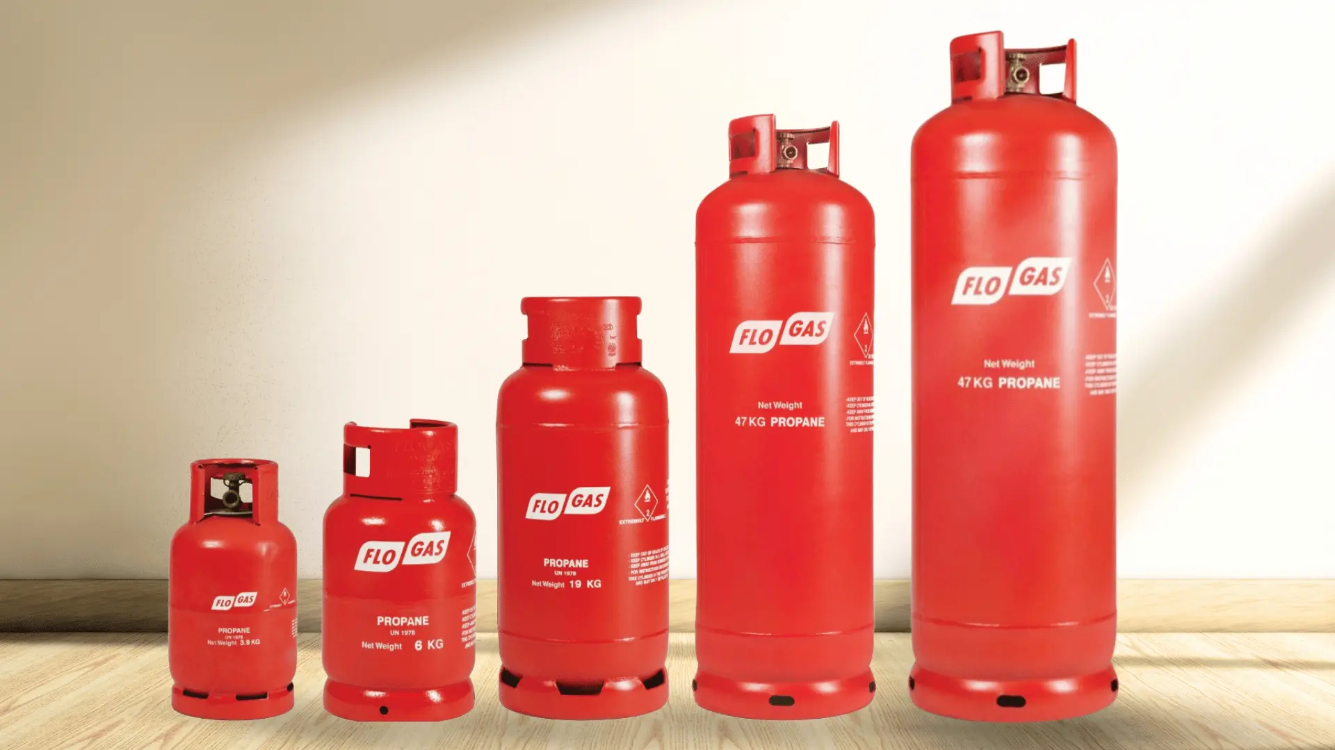 Natural Gas & LPG